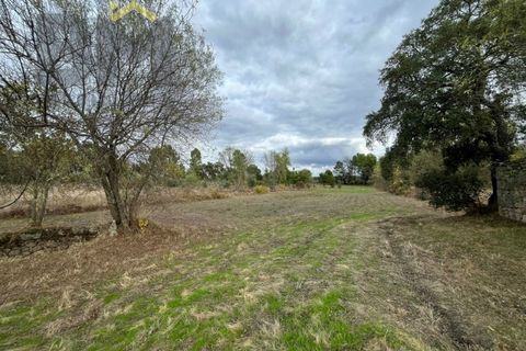 Farm i Castelo Branco, Castelo Branco, Castelo Branco - € 18.695 | Ref: 4961 - foto 7