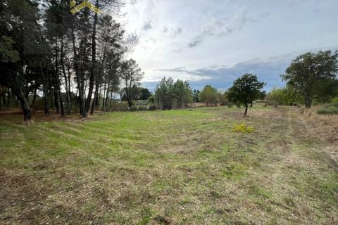 Farm i Castelo Branco, Castelo Branco, Castelo Branco - € 18.695 | Ref: 4961 - foto 8
