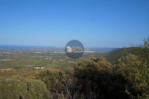 Rækkehus i Monopoli, Bari, Monopoli - € 148.000 | Ref: 183 - foto 20
