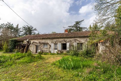 Villa i Laroque-Timbaut, Lot-et-Garonne, Laroque-Timbaut - € 200.000 | Ref: WMC374 - foto 23