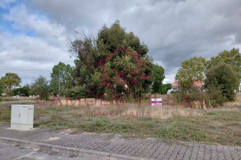 Helårsgrund i Entroncamento, Santarem, Entroncamento - € 225.000 | Ref: SÒL_77 - foto 2