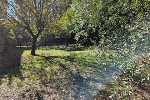 Villa i Terre Roveresche, Pesaro and Urbino, Terre Roveresche - € 290.000 | Ref: C/353 - foto 41