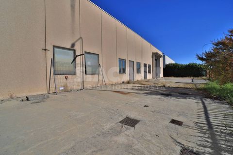 Erhvervsejendom i Verdellino, Bergamo, Verdellino - € 1.200.000 | Ref: CAP.VERDELLINO-TS1200V - foto 3
