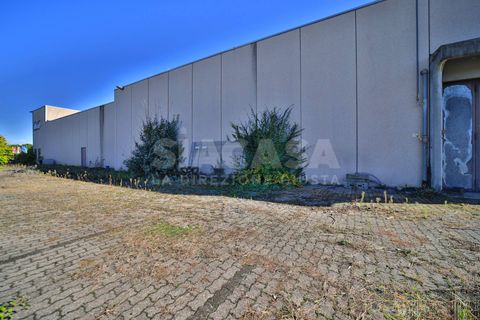 Erhvervsejendom i Verdellino, Bergamo, Verdellino - € 1.200.000 | Ref: CAP.VERDELLINO-TS1200V - foto 5