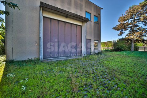 Erhvervsejendom i Verdellino, Bergamo, Verdellino - € 1.200.000 | Ref: CAP.VERDELLINO-TS1200V - foto 6
