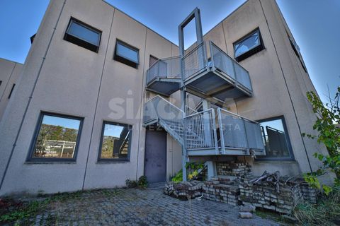 Erhvervsejendom i Verdellino, Bergamo, Verdellino - € 1.200.000 | Ref: CAP.VERDELLINO-TS1200V - foto 7