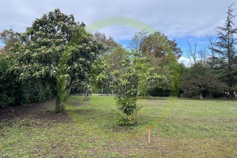 Grond in Cestas, Gironde, Cestas - € 550.000 | Ref: 3011441773 - foto 7
