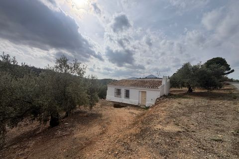 Landejendom i Antequera, Malaga, Antequera - € 249.000 | Ref: e6a5f938-92e7-4a9c-b - foto 29