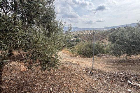 Landejendom i Antequera, Malaga, Antequera - € 249.000 | Ref: e6a5f938-92e7-4a9c-b - foto 49