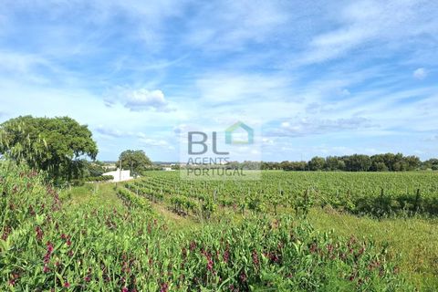 Farm hus i Evora, Evora, Evora - € 45.000 | Ref: FIN_700 - foto 2