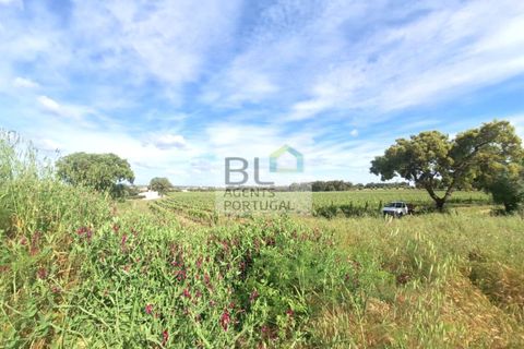 Farm hus i Evora, Evora, Evora - € 45.000 | Ref: FIN_700 - foto 5