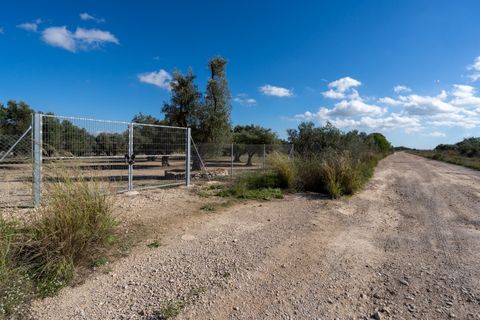 Finca i Roquetes, Tarragona, Roquetes - € 38.000 | Ref: 295 - foto 6