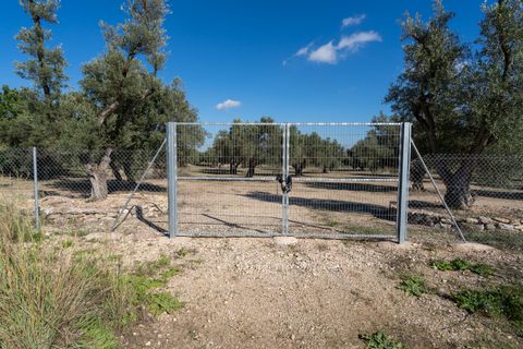 Finca i Roquetes, Tarragona, Roquetes - € 38.000 | Ref: 295 - foto 5