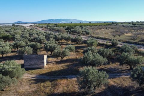 Finca i Roquetes, Tarragona, Roquetes - € 38.000 | Ref: 295 - foto 39