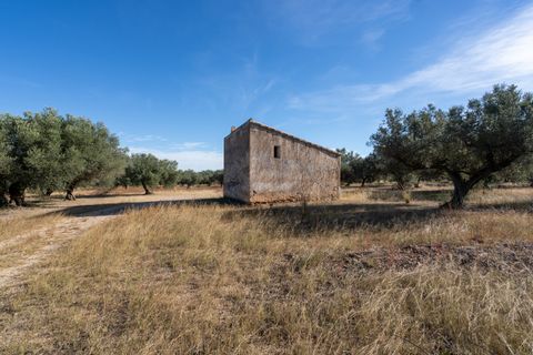 Finca i Roquetes, Tarragona, Roquetes - € 38.000 | Ref: 295 - foto 29