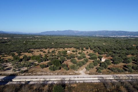 Finca i Roquetes, Tarragona, Roquetes - € 38.000 | Ref: 295 - foto 10