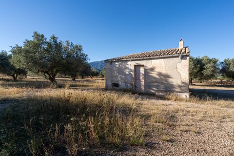 Finca i Roquetes, Tarragona, Roquetes - € 38.000 | Ref: 295 - foto 23