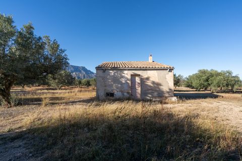 Finca i Roquetes, Tarragona, Roquetes - € 38.000 | Ref: 295 - foto 25