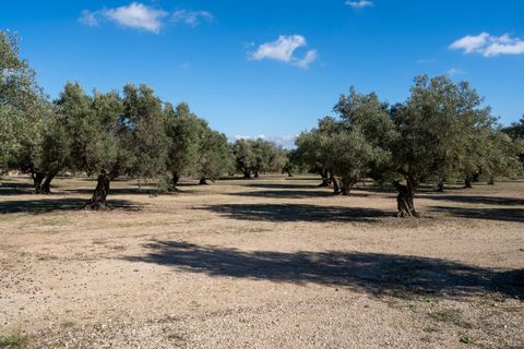 Finca i Roquetes, Tarragona, Roquetes - € 38.000 | Ref: 295 - foto 4