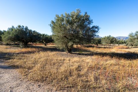Finca i Roquetes, Tarragona, Roquetes - € 38.000 | Ref: 295 - foto 17