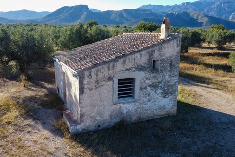 Finca i Roquetes, Tarragona, Roquetes - € 38.000 | Ref: 295 - foto 8