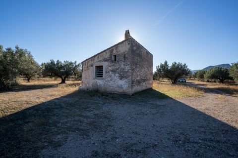 Finca i Roquetes, Tarragona, Roquetes - € 38.000 | Ref: 295 - foto 21