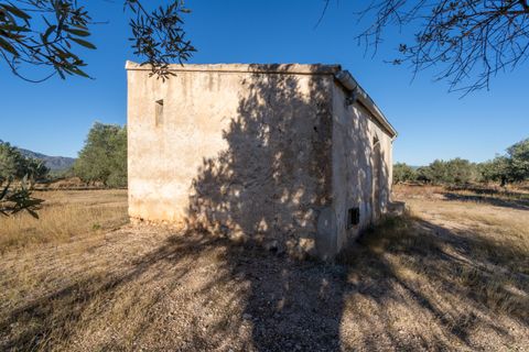 Finca i Roquetes, Tarragona, Roquetes - € 38.000 | Ref: 295 - foto 22