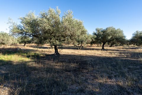 Finca i Roquetes, Tarragona, Roquetes - € 38.000 | Ref: 295 - foto 30