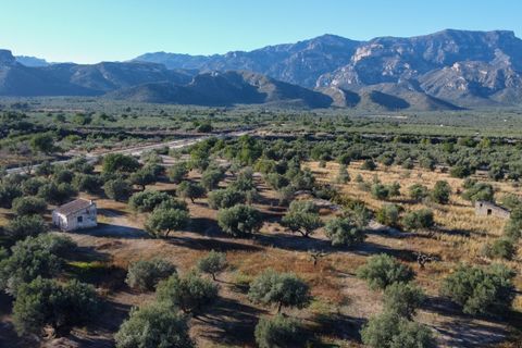Finca i Roquetes, Tarragona, Roquetes - € 38.000 | Ref: 295 - foto 7