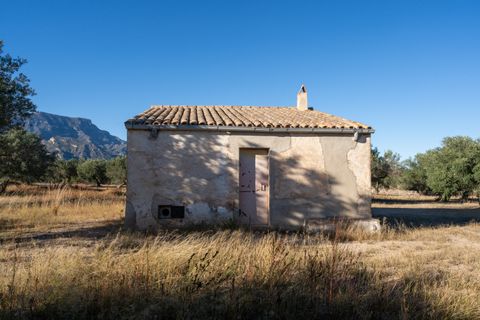 Finca i Roquetes, Tarragona, Roquetes - € 38.000 | Ref: 295 - foto 27