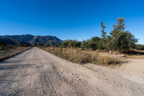 Finca i Roquetes, Tarragona, Roquetes - € 38.000 | Ref: 295 - foto 19