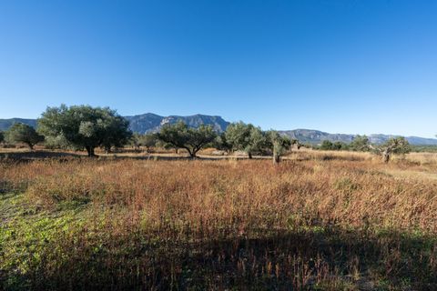 Finca i Roquetes, Tarragona, Roquetes - € 38.000 | Ref: 295 - foto 28