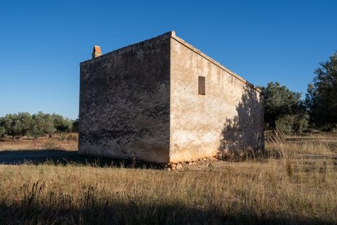 Finca i Roquetes, Tarragona, Roquetes - € 38.000 | Ref: 295 - foto 20