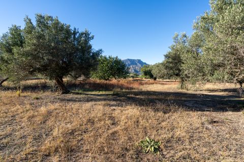 Finca i Roquetes, Tarragona, Roquetes - € 38.000 | Ref: 295 - foto 15