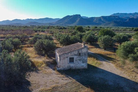 Finca i Roquetes, Tarragona, Roquetes - € 38.000 | Ref: 295 - foto 2