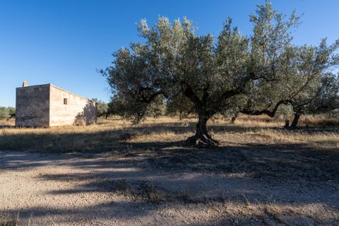 Finca i Roquetes, Tarragona, Roquetes - € 38.000 | Ref: 295 - foto 13