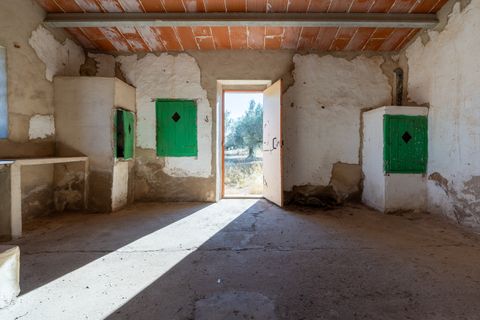 Finca i Roquetes, Tarragona, Roquetes - € 38.000 | Ref: 295 - foto 34