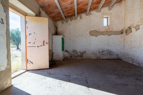 Finca i Roquetes, Tarragona, Roquetes - € 38.000 | Ref: 295 - foto 32