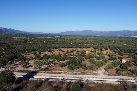 Finca i Roquetes, Tarragona, Roquetes - € 38.000 | Ref: 295 - foto 11