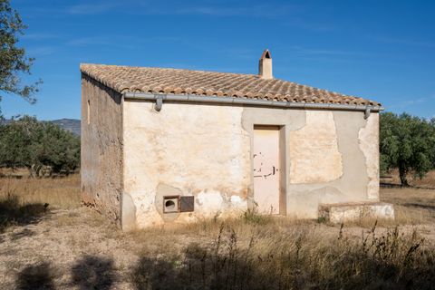 Finca i Roquetes, Tarragona, Roquetes - € 38.000 | Ref: 295 - foto 41