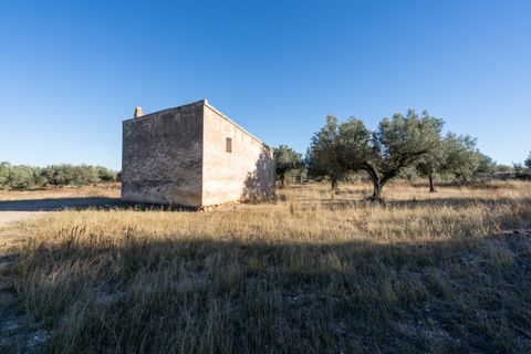 Finca i Roquetes, Tarragona, Roquetes - € 38.000 | Ref: 295 - foto 18