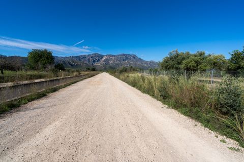 Finca i Roquetes, Tarragona, Roquetes - € 38.000 | Ref: 295 - foto 14