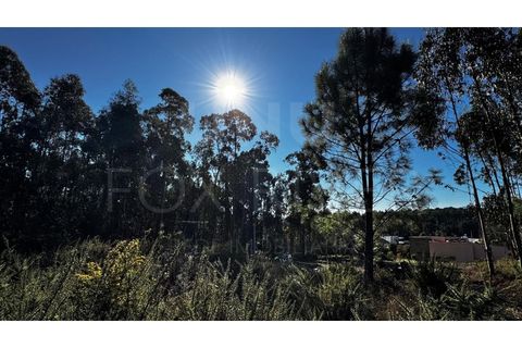 Helårsgrund i Valenca, Viana do Castelo, Valenca - € 55.000 | Ref: UNU-F1-03-111 - foto 1