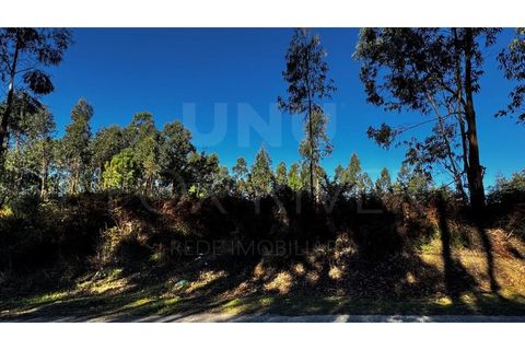 Helårsgrund i Valenca, Viana do Castelo, Valenca - € 55.000 | Ref: UNU-F1-03-111 - foto 2