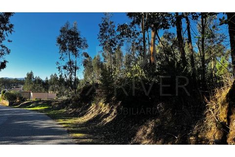 Helårsgrund i Valenca, Viana do Castelo, Valenca - € 55.000 | Ref: UNU-F1-03-111 - foto 3