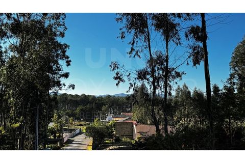 Helårsgrund i Valenca, Viana do Castelo, Valenca - € 55.000 | Ref: UNU-F1-03-111 - foto 5