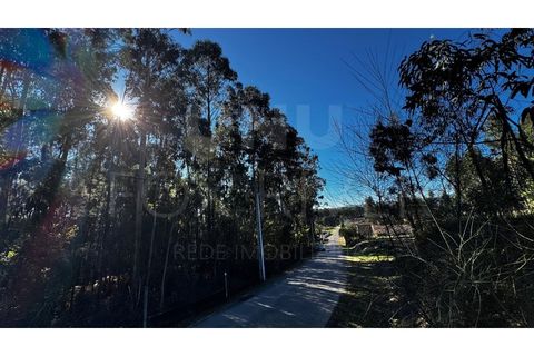 Helårsgrund i Valenca, Viana do Castelo, Valenca - € 55.000 | Ref: UNU-F1-03-111 - foto 6