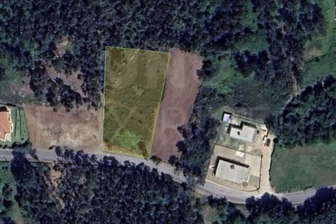 Helårsgrund i Valenca, Viana do Castelo, Valenca - € 55.000 | Ref: UNU-F1-03-111 - foto 7