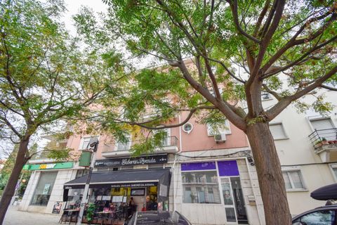 Erhvervsejendom i Alvalade, Setubal, Alvalade - € 450.000 | Ref: C0354-00766 - foto 20