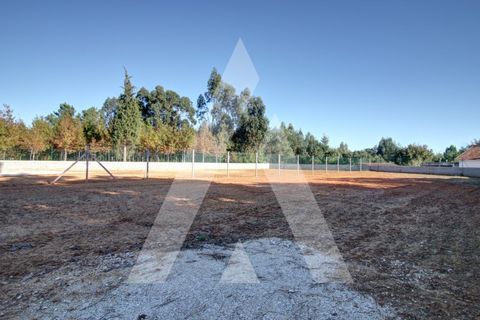 Villa i Anadia, Aveiro, Anadia - € 395.000 | Ref: 1051362/25 OB - foto 46